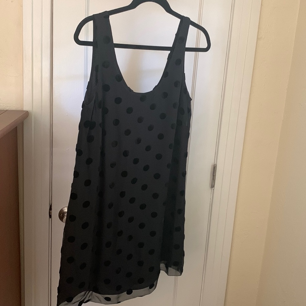 JCrew Velvet polka dot sleeveless shift dress size 8